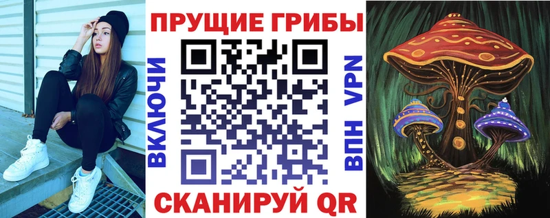Галлюциногенные грибы Psilocybe  Цимлянск 