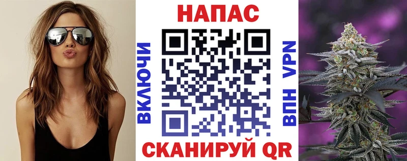 МАРИХУАНА сатива  купить  сайты  мега как войти  Цимлянск 
